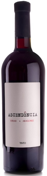 Вино Ашкиденсиа Сира Арагонеш красное полусухое 0,75л